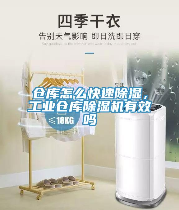 仓库怎么快速除湿，工业仓库辣椒视频APP下载并安装有效吗