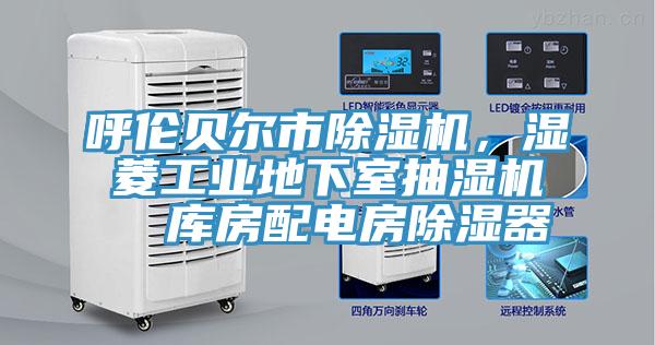 呼伦贝尔市辣椒视频APP下载并安装，湿菱工业地下室抽湿机  库房配电房除湿器