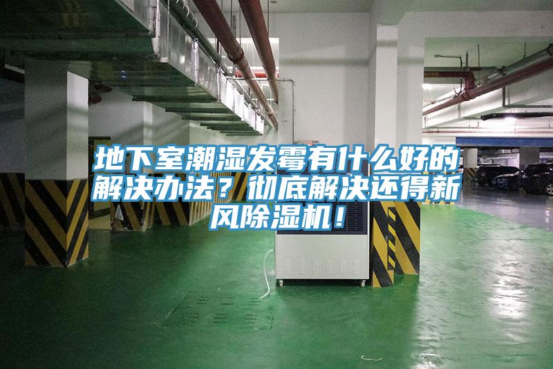 地下室潮湿发霉有什么好的解决办法？彻底解决还得新风辣椒视频APP下载并安装！