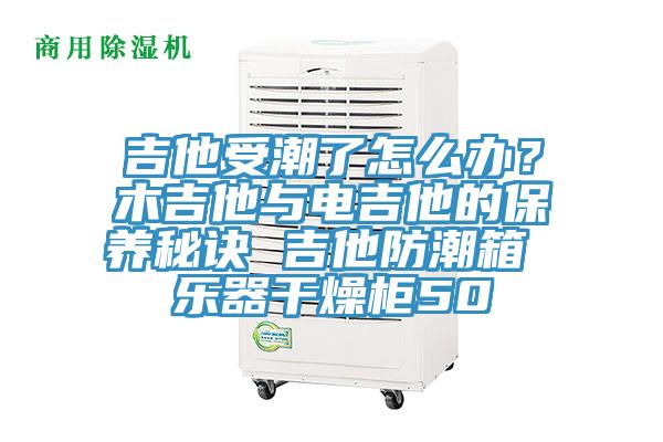 吉他受潮了怎么办？木吉他与电吉他的保养秘诀 吉他防潮箱 乐器干燥柜50
