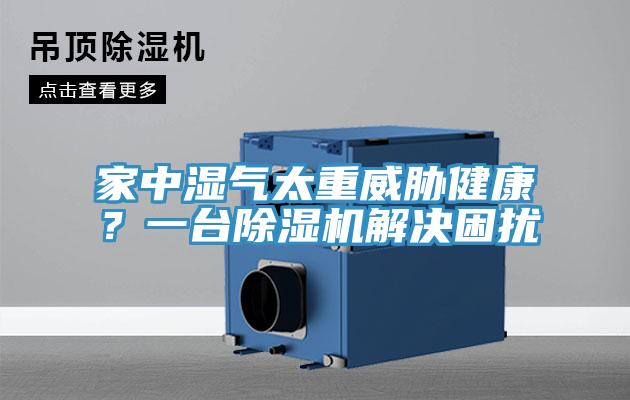 家中湿气太重威胁健康？一台辣椒视频APP下载并安装解决困扰
