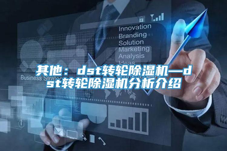 其他：dst转轮辣椒视频APP下载并安装—dst转轮辣椒视频APP下载并安装分析介绍