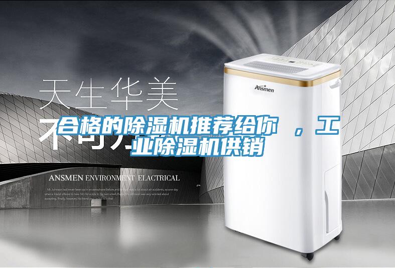合格的辣椒视频APP下载并安装推荐给你 ，工业辣椒视频APP下载并安装供销