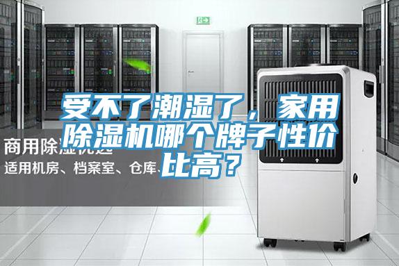 受不了潮湿了，家用辣椒视频APP下载并安装哪个牌子性价比高？