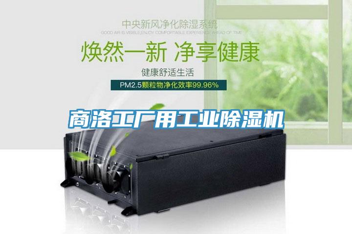 商洛工厂用工业辣椒视频APP下载并安装