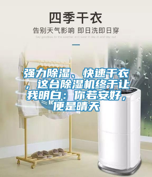 强力除湿、快速干衣，这台辣椒视频APP下载并安装终于让我明白：你若安好，便是晴天