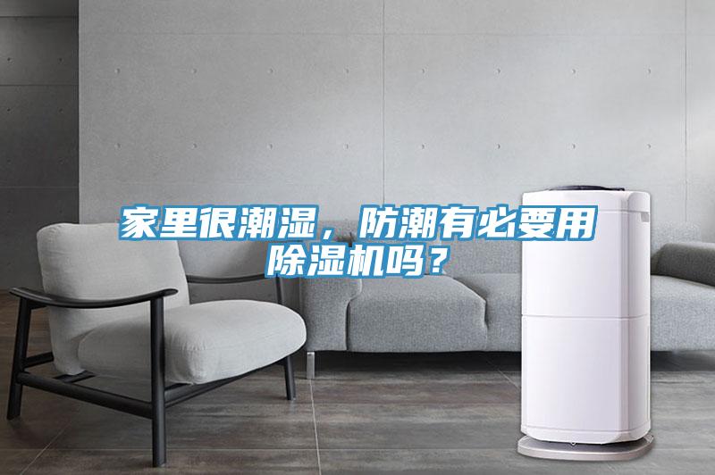家里很潮湿，防潮有必要用辣椒视频APP下载并安装吗？