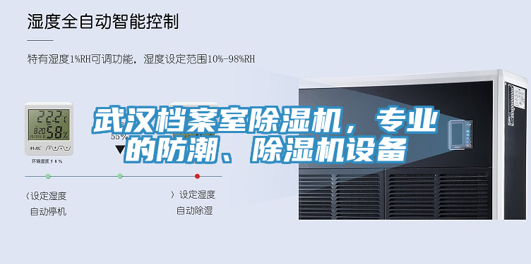 武汉档案室辣椒视频APP下载并安装，专业的防潮、辣椒视频APP下载并安装设备