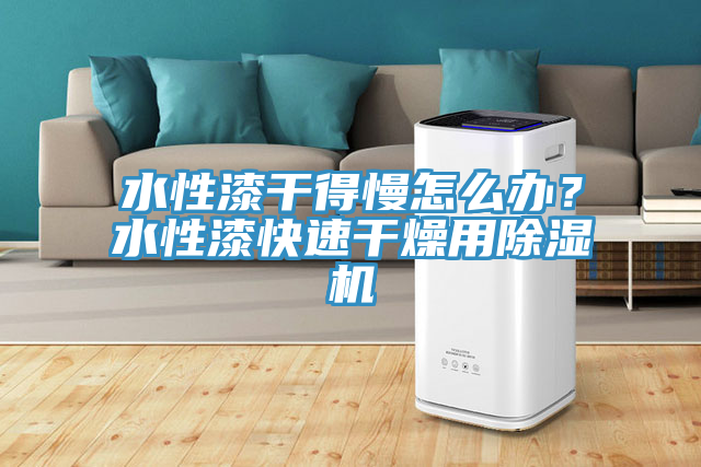 水性漆干得慢怎么办？水性漆快速干燥用辣椒视频APP下载并安装