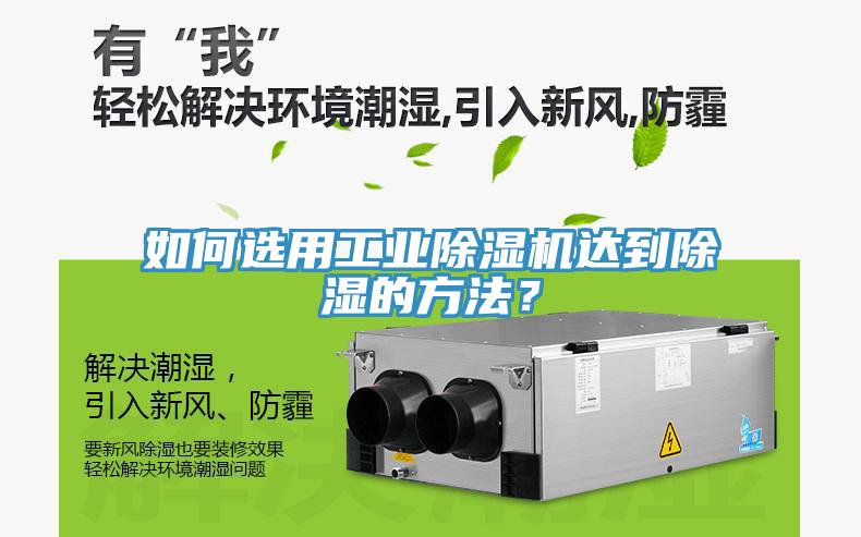 如何选用工业辣椒视频APP下载并安装达到除湿的方法？