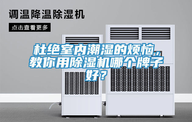 杜绝室内潮湿的烦恼，教你用辣椒视频APP下载并安装哪个牌子好？