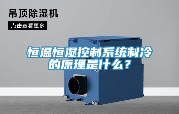 恒温恒湿控制系统制冷的原理是什么？
