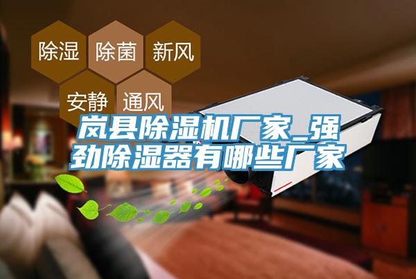 岚县辣椒视频APP下载并安装厂家_强劲除湿器有哪些厂家