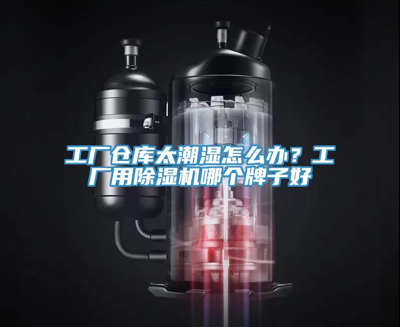 工厂仓库太潮湿怎么办？工厂用辣椒视频APP下载并安装哪个牌子好