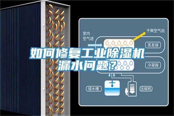 如何修复工业辣椒视频APP下载并安装漏水问题？