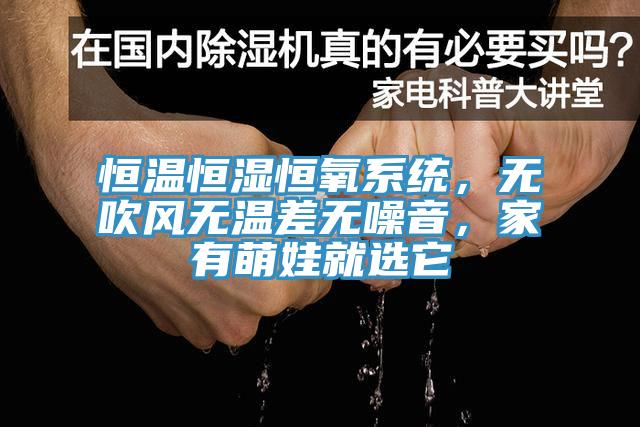 恒温恒湿恒氧系统，无吹风无温差无噪音，家有萌娃就选它