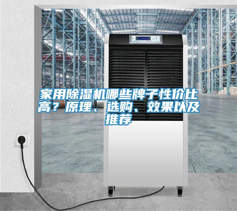 家用辣椒视频APP下载并安装哪些牌子性价比高？原理、选购、效果以及推荐