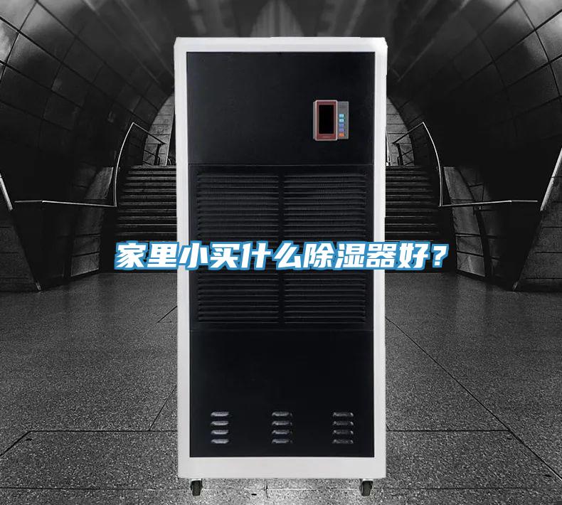 家里小买什么除湿器好？
