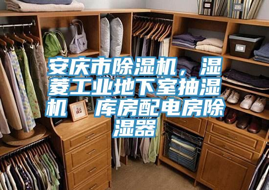 安庆市辣椒视频APP下载并安装，湿菱工业地下室抽湿机  库房配电房除湿器