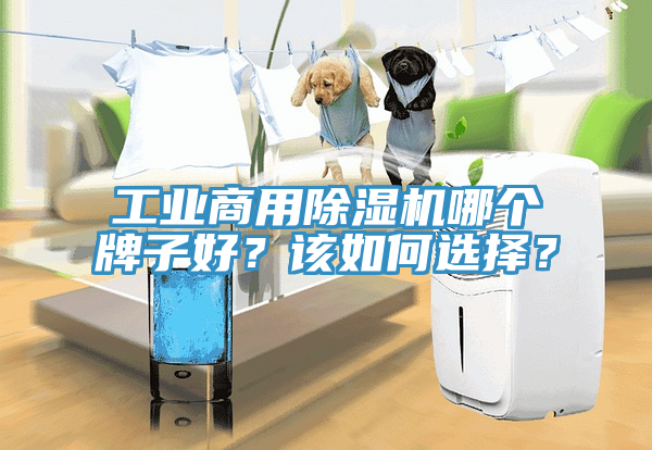 工业商用辣椒视频APP下载并安装哪个牌子好？该如何选择？