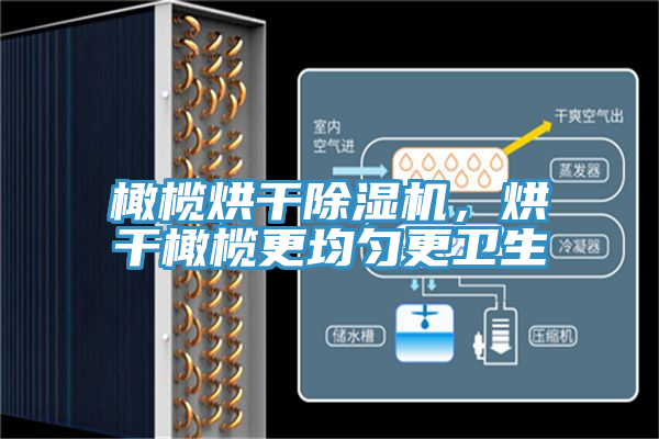 橄榄烘干辣椒视频APP下载并安装，烘干橄榄更均匀更卫生