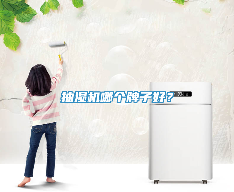抽湿机哪个牌子好？