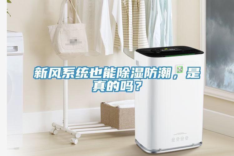 新风系统也能除湿防潮，是真的吗？