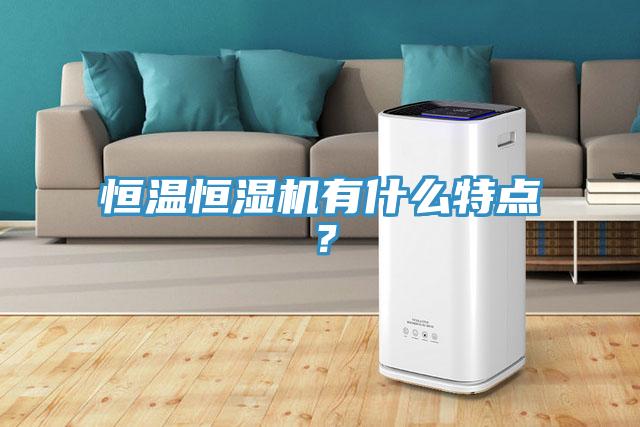 恒温恒湿机有什么特点？