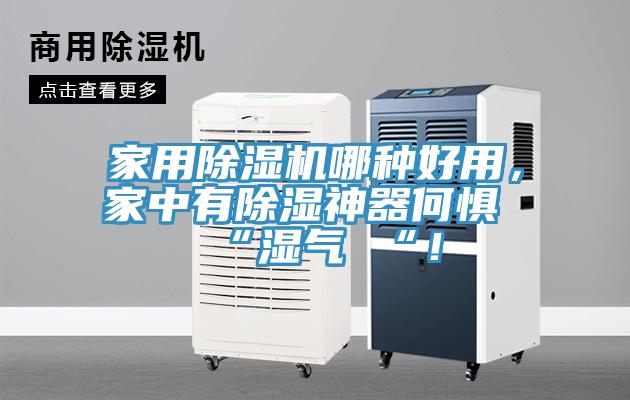 家用辣椒视频APP下载并安装哪种好用，家中有除湿神器何惧 “湿气 “！