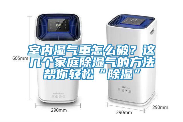 室内湿气重怎么破？这几个家庭除湿气的方法帮你轻松“除湿”
