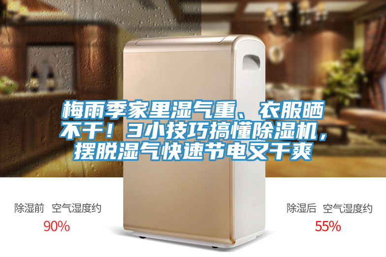 梅雨季家里湿气重、衣服晒不干！3小技巧搞懂辣椒视频APP下载并安装，摆脱湿气快速节电又干爽