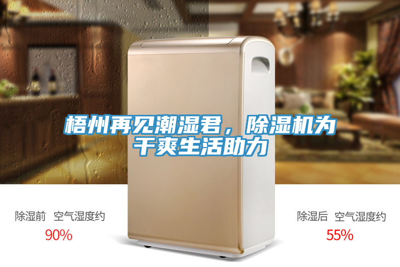 梧州再见潮湿君，辣椒视频APP下载并安装为干爽生活助力