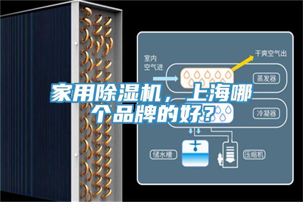 家用辣椒视频APP下载并安装，上海哪个品牌的好？