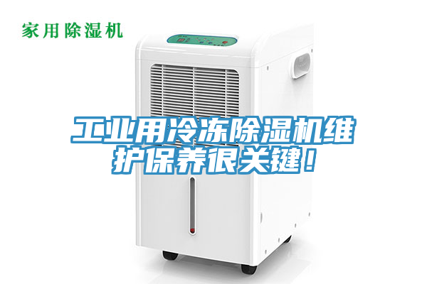 工业用冷冻辣椒视频APP下载并安装维护保养很关键！