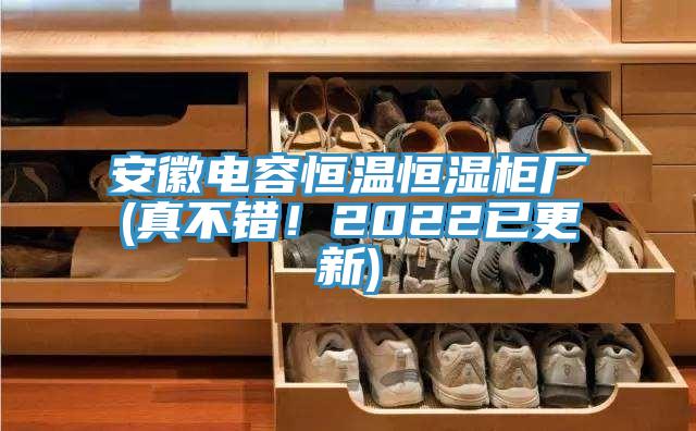 安徽电容恒温恒湿柜厂(真不错！2022已更新)