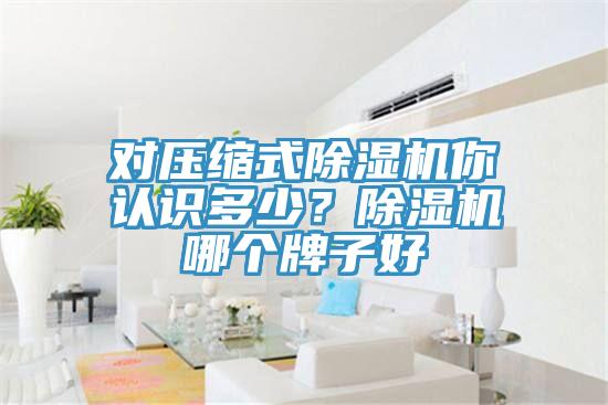 对压缩式辣椒视频APP下载并安装你认识多少？辣椒视频APP下载并安装哪个牌子好