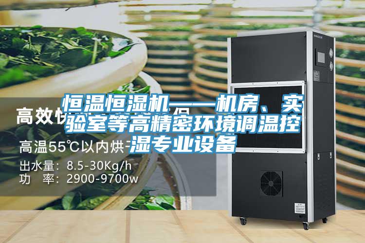 恒温恒湿机——机房、实验室等高精密环境调温控湿专业设备