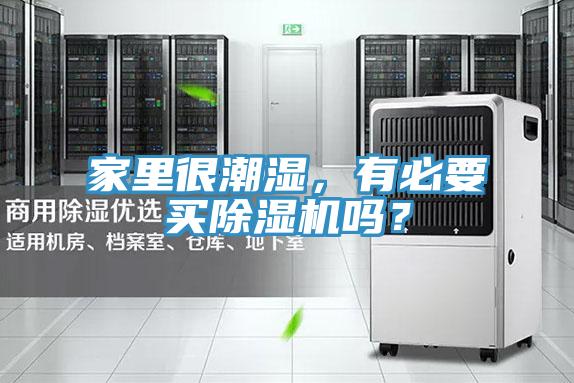 家里很潮湿，有必要买辣椒视频APP下载并安装吗？