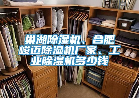 巢湖辣椒视频APP下载并安装、合肥峻迈辣椒视频APP下载并安装厂家、工业辣椒视频APP下载并安装多少钱