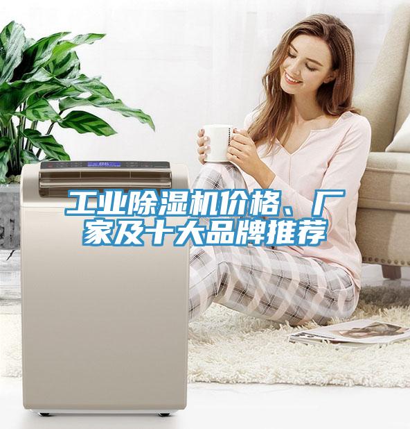 工业辣椒视频APP下载并安装价格、厂家及十大品牌推荐