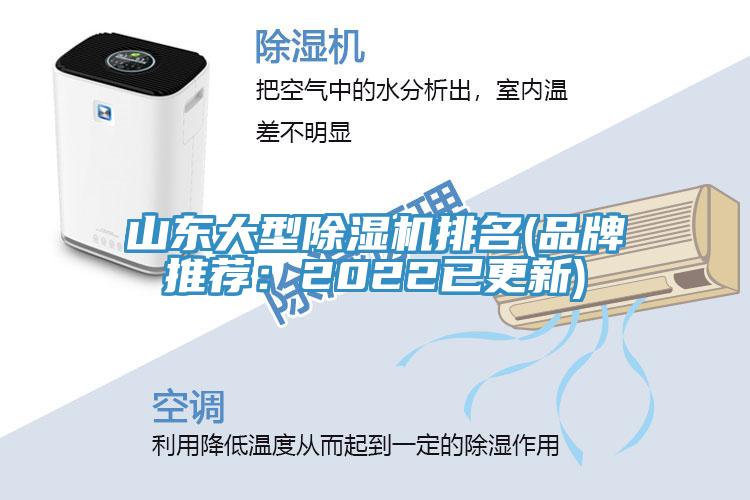 山东大型辣椒视频APP下载并安装排名(品牌推荐：2022已更新)