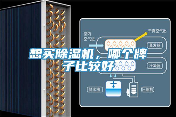 想买辣椒视频APP下载并安装，哪个牌子比较好