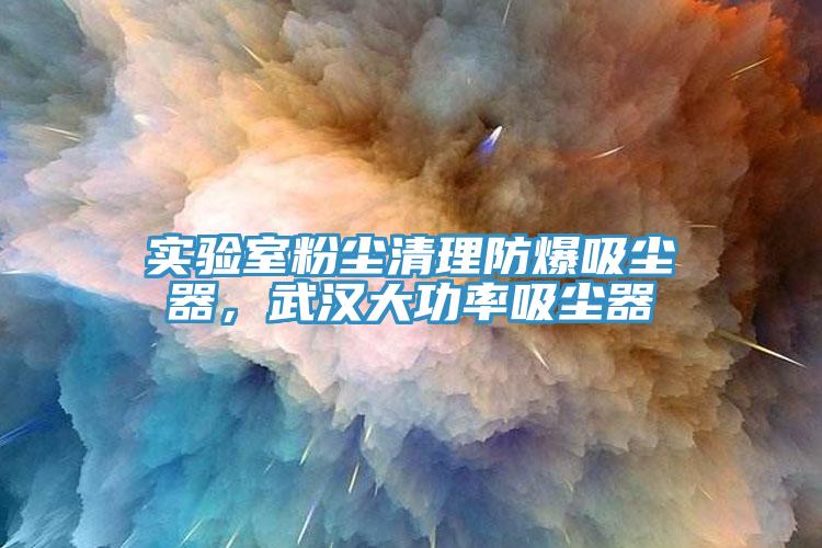 实验室粉尘清理防爆吸尘器，武汉大功率吸尘器
