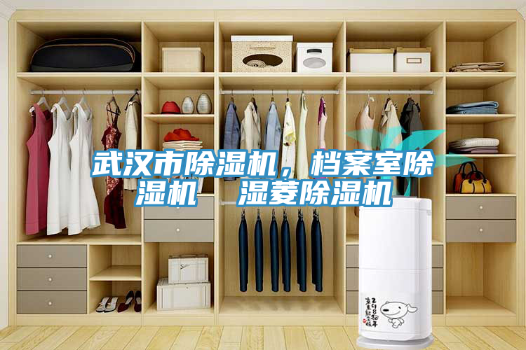 武汉市辣椒视频APP下载并安装，档案室辣椒视频APP下载并安装  湿菱辣椒视频APP下载并安装