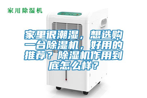 家里很潮湿，想选购一台辣椒视频APP下载并安装，好用的推荐？辣椒视频APP下载并安装作用到底怎么样？