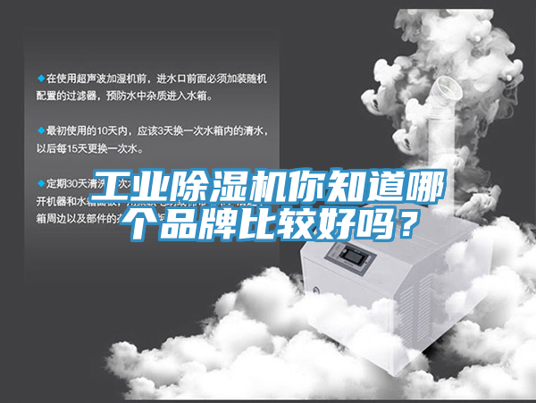 工业辣椒视频APP下载并安装你知道哪个品牌比较好吗？