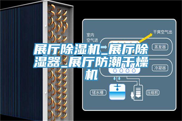 展厅辣椒视频APP下载并安装_展厅除湿器_展厅防潮干燥机