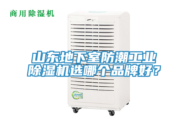 山东地下室防潮工业辣椒视频APP下载并安装选哪个品牌好？