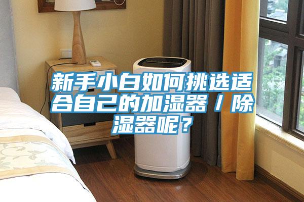 新手小白如何挑选适合自己的加湿器／除湿器呢？