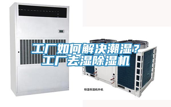 工厂如何解决潮湿？工厂去湿辣椒视频APP下载并安装